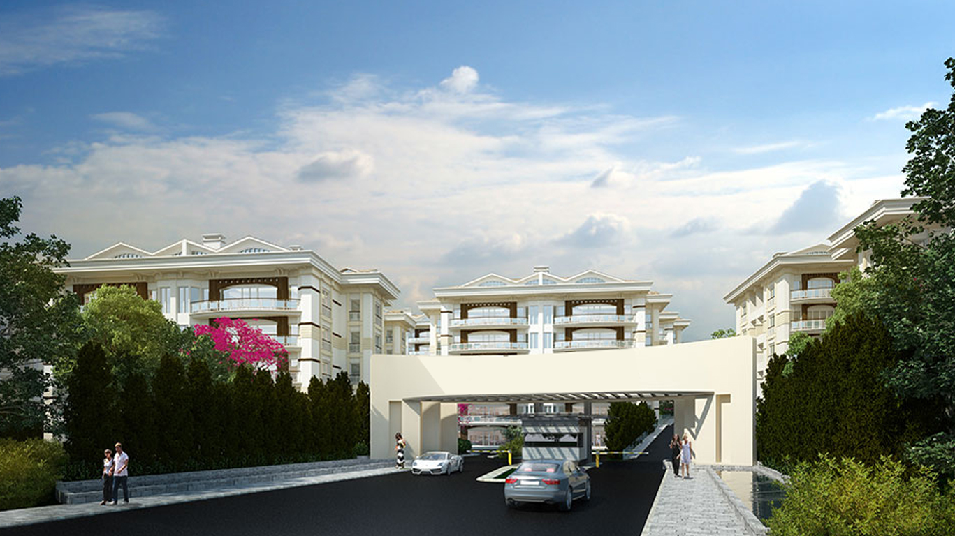 A Singular Concept That Stands Out for Its Simplicity