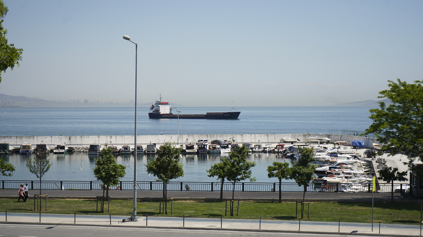 A Mixture of History and the Contemporary