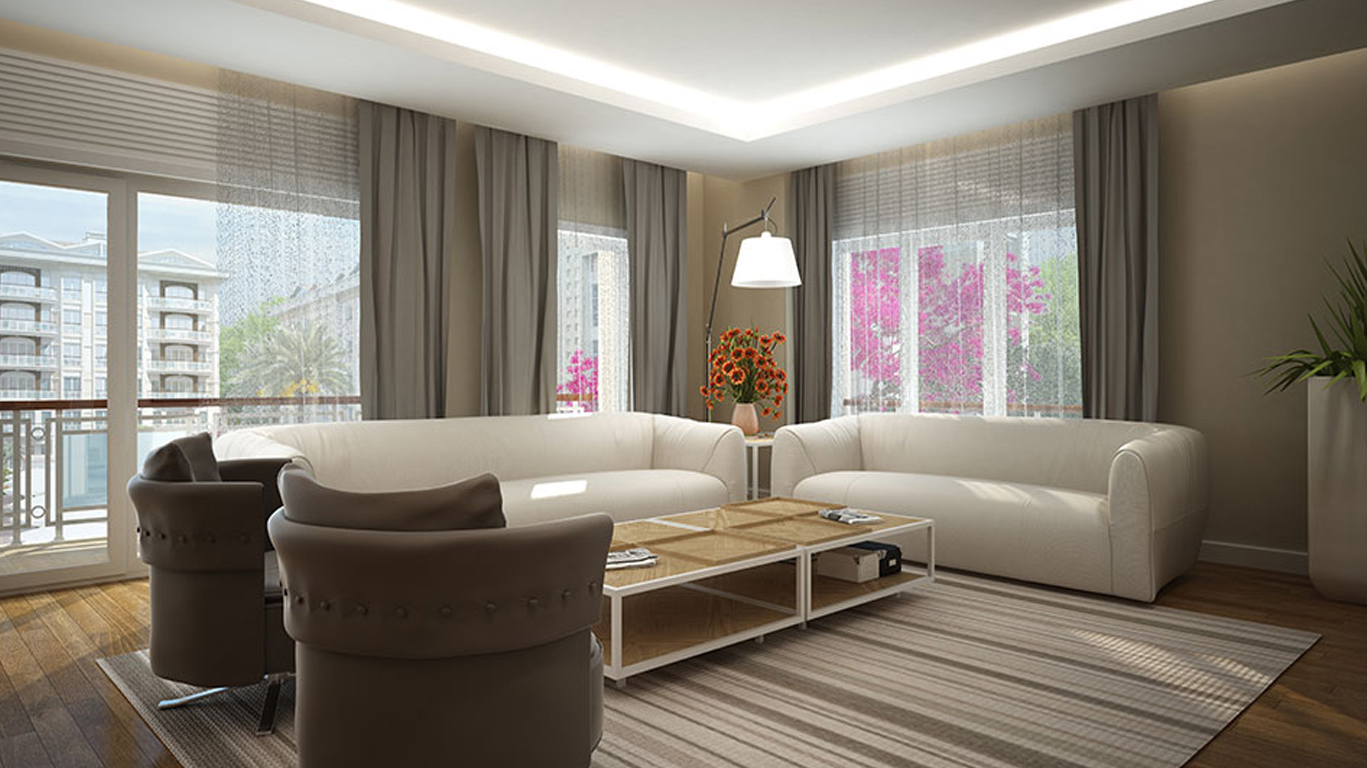 A Singular Concept That Stands Out for Its Simplicity